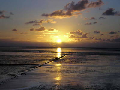 Bild 11 aus  Ferienhof Schoof