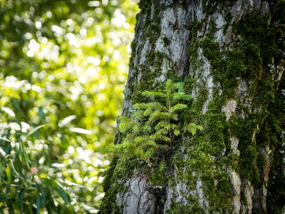 Bild 24 aus  Gut Neuwerk