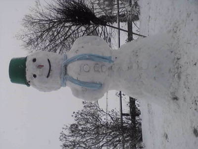 Bild 40 aus  Ferienhof Pulte