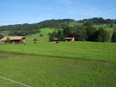 Bild 15 aus  Fürstnerhof-Reiterhof