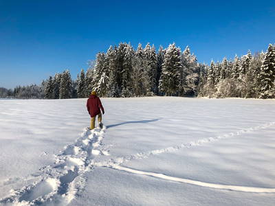 Schneeschuh wandern