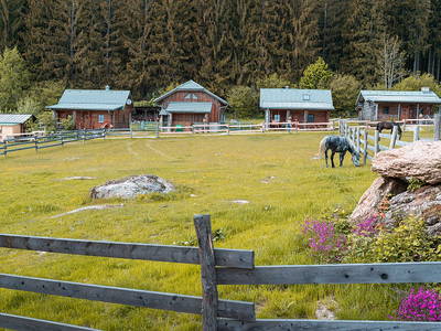 Bild 3 aus  Nordweide – Natur erleben, Ruhe genießen