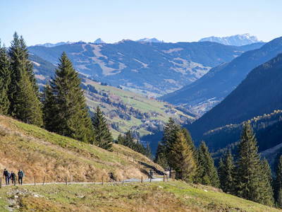 Bild 37 aus  Ferienwohnungen Perfeldhof