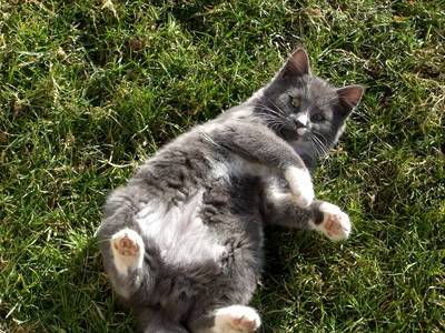 Bild 15 aus  Landhaus Rombach