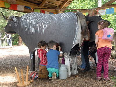 Bild 4 aus  Urlaub im Zoo – Tierpark Görlitz