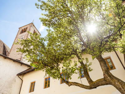 Bild 33 aus  Weidacherhof