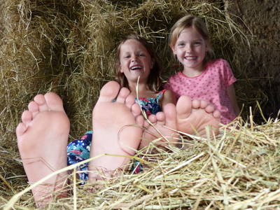 Bild 32 aus  Schauerhof