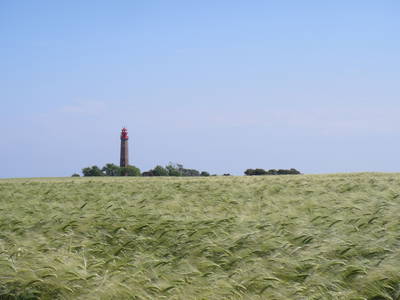 Bild 40 aus  Luftsnapper & Fellnasen