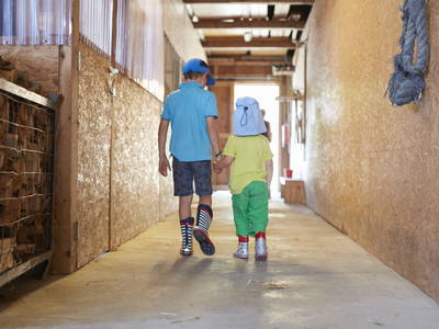 Bild 86 aus  LandSelection Ferienhof Brandt,