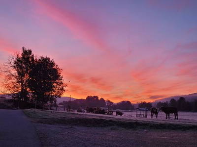 Bild 35 aus  Burgstallhof