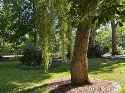 Bild 6 aus  Gut Osterhausen