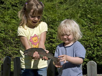 Bild 11 aus  Masererhof - Ferienbauernhof im Chiemgau