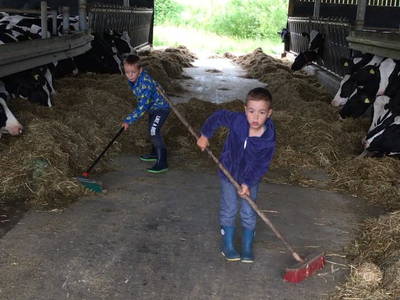 Bild 26 aus  Marienhof