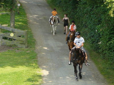 Bild 8 aus  Gretenhof