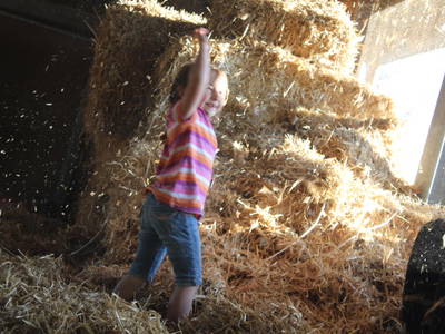 Bild 27 aus  Doasahof