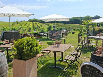 Herzlich Willkommen auf unserem Ingenhof im Feldcafé