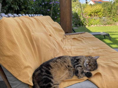 Bild 41 aus  LandSelection Rüsterhof