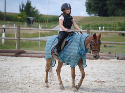 Bild 9 aus  Freizeit- und Ferienreiterhof Odenwald