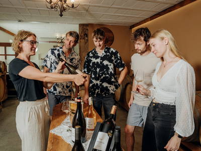 Bild 15 aus  Monschein Weingut Straden