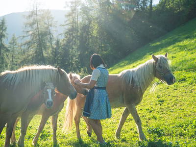 Bild 18 aus  Schweinsteghof