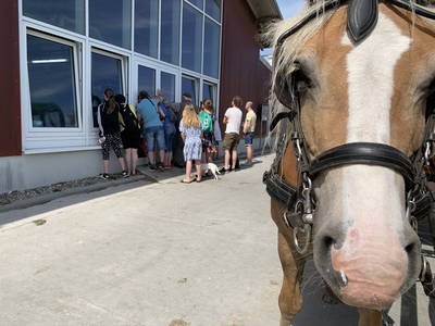 Bild 8 aus  Hof Thomsen