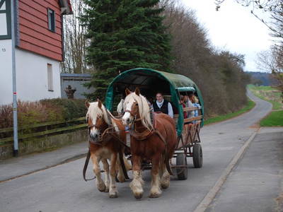 Bild 9 aus  Landhotel-Ferienhof Schneider