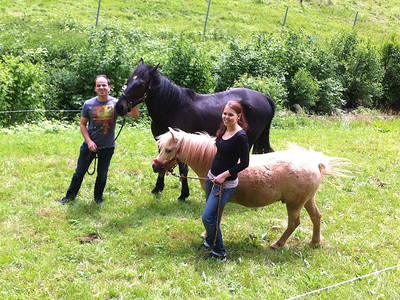 Bild 13 aus  Springhansenhof im Schwarzwald