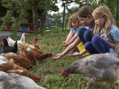 Bild 10 aus  Urlaub am Schoffahanslof im Bayerischen Wald: Natur, Abenteuer & Erholung für die ganze Familie“