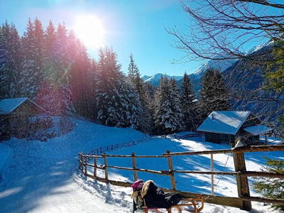 Bild 16 aus  Much's Bergstüberl