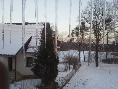 Bild 12 aus  Bauernhof Wujanz