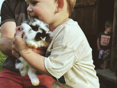 Bild 28 aus  Sinnhubgut