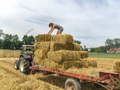 Bild 36 aus  Familien-Bauernhofurlaub im Herzen der Schweiz