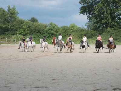 Bild 15 aus  Ferienhof Thomsen