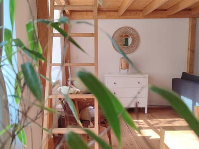 Bild 8 aus  Urlaub im Zoo – Tierpark Görlitz