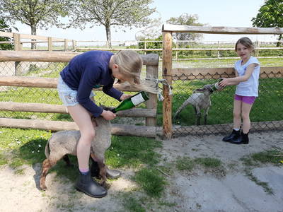 Bild 27 aus  Ferienhof Claußen