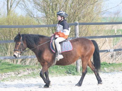 Bild 7 aus  Ulfers Touristik