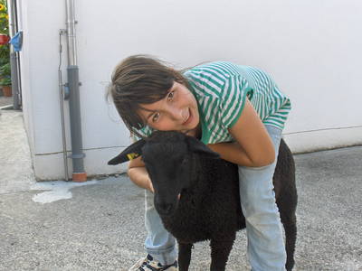 Bild 12 aus  Familien-Bauernhofurlaub im Herzen der Schweiz