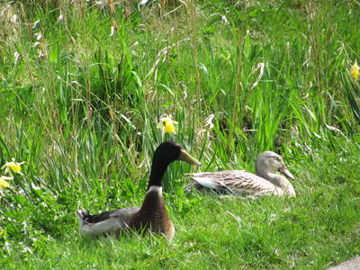 Bild 32 aus  Ferienhof Severin