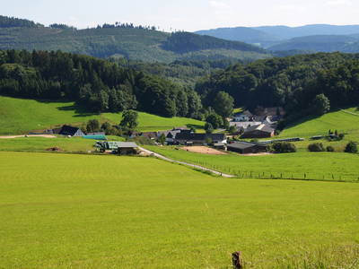 Bild 14 aus  Landurlaub im Sauerland auf dem Ferienhof Verse