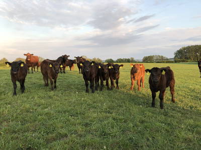 Bild 2 aus  Müritz-Hof Knust