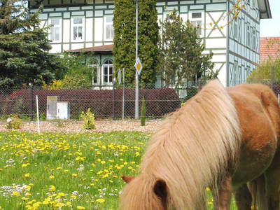 Bild 21 aus  Ferienhof Am Wunderberg