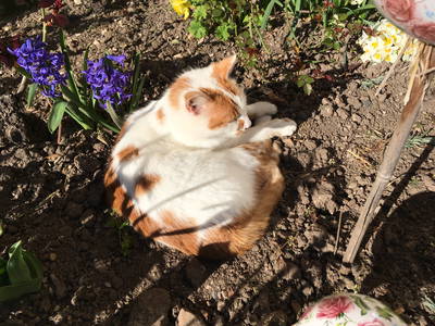 Bild 20 aus  LandSelection Die Schenkenau