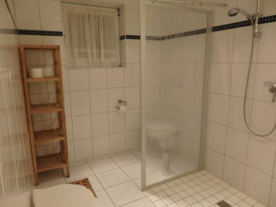 Bild 13 aus  Fjordgestüt Süderstapel GbR