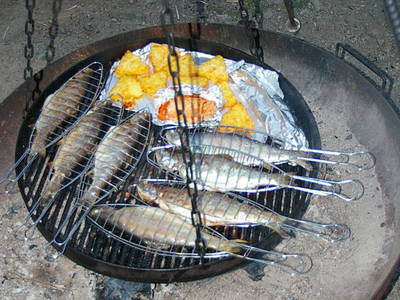 Bild 16 aus  Ferienhof Schmauß