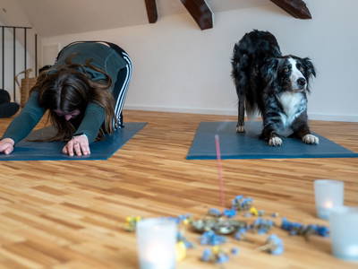 Bild 12 aus  Ferienhaus Gersmühle