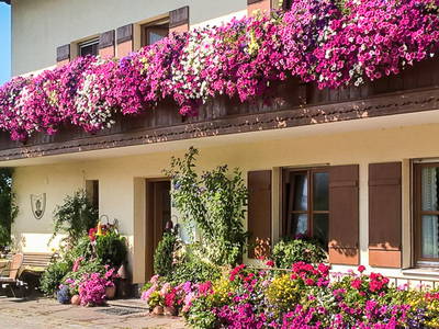 Bild 5 aus  Huberhof Riedering