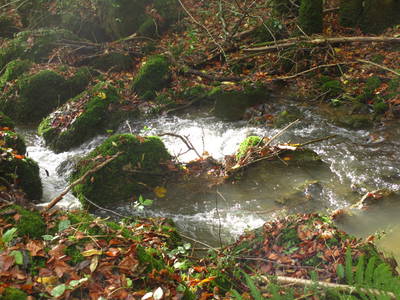 Bild 16 aus  Ferienhof Feinen