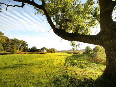 Bild 35 aus  FerienGut Dalwitz     www.feriengutdalwitz.de