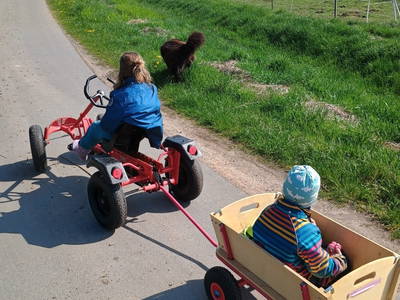 Ausflug mit dem Kettcar (Der Hund gehört uns nicht). Foto: V.Paarz