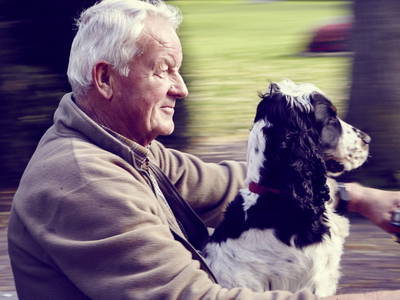 Bild 12 aus  LandSelection Ferienhof Friedrichsthal